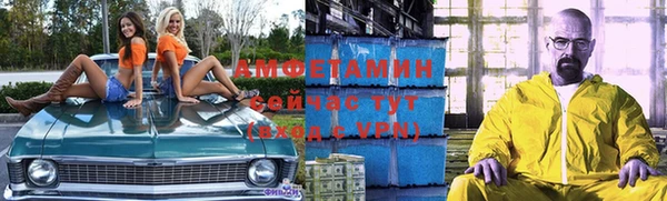 метадон Алексин