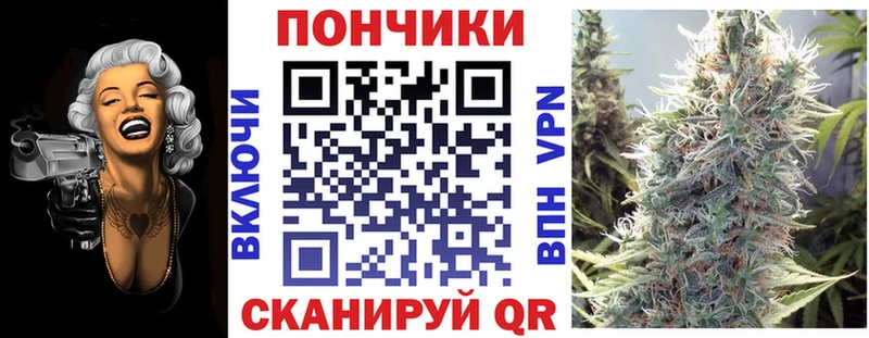 Конопля сатива  Микунь 